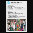 移動式花屋を営んでいる夫婦の妊活は、見知らぬ男達に妻を寝取らせた後にする【至高の10ピストン即中出し】で着床を目指している。 青空ひかり 【画像+動画】